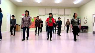 Electric Slide  Line Dance Dance amp Walk thru [upl. by Adnuhsed]