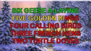 12 Days of Christmas Karaoke  Traditional Christmas Carols Videos amp Lyrics [upl. by Powel]