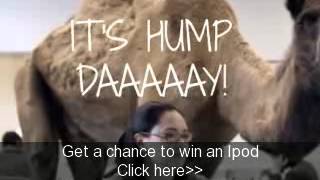 Happy Hump Dayhump day pictures and sound track remix [upl. by Karie335]