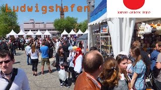 Hanami 2015 Ludwigshafen VLOG  Japan World [upl. by Eugirne]