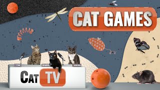 Cat Games  Ultimate Cat TV Compilation Vol 13  2 HOURS 🐱📺🎈🦜🐜🐭🧵🐝🐞🦋🦎 [upl. by Spieler152]