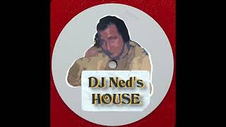 Dj Ned  TreibHaus [upl. by Adnilem]