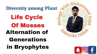 Life Cycle of Mosses Reproduction in Bryophytes Alternation of Generations [upl. by Rona96]