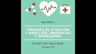 Términos de situación y dirección Eminencias y depresiones  Anatomía Veterinaria I 👩🏻‍⚕️✨ [upl. by Baxy]