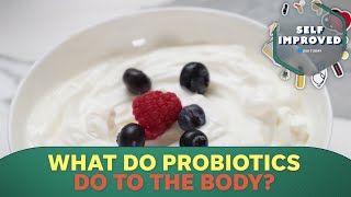 What are probiotics These are the health benefits  SELF IMPROVED [upl. by Stauder]