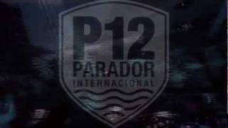 CARNAVAL P12  JURERÊ INTERNACIONAL  2011 VIDEO OFICIAL [upl. by Woolley529]