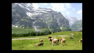 Sound of cowbell in Swiss Alps スイスアルプスのカウベルの響 [upl. by Matthias]