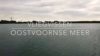 Vliegvissen Oostvoornse Meer [upl. by Alakam]