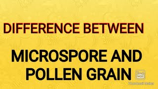 DIFFERENCE BETWEEN MICROSPORE AND POLLEN GRAIN [upl. by Aremihc]