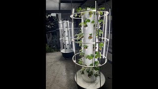 How To Setup Aeroponic Tower Garden  Air Stacky [upl. by Keslie620]