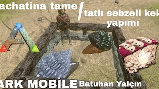 ARK MOBİLE  achatina Tame  tatlı sebzeli kek tarifi [upl. by Ajoop]