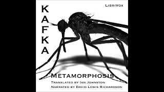 1915 The Metamorphosis by Franz Kafka Complete full free audio book [upl. by Sivrad886]