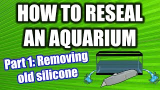 How to Reseal an Aquarium and Make it Rimless  Part 1 Removing Silicone and Disassembly [upl. by Michail356]