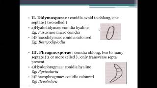 FUNDAMENTALS OF PLANT PATHOLOGY Classification of Fungi Part9 [upl. by Arleyne6]