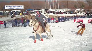 Skijoring in Utah [upl. by Cheria]