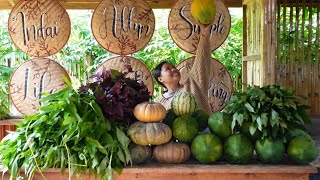 Harvest Tayo ng Mga Gulay and Fruits [upl. by Liarret]