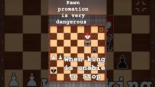 In chessPawn Promation pawn promotion is very Danger [upl. by Roehm720]