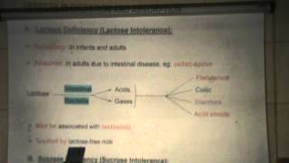 5 DrRasheed 3112014  Digestion of carbohydrates amp Absorption of monosaccharides [upl. by Christoper]