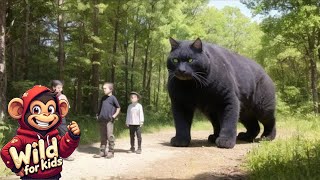 cats in the jungle kidsvideo youtubeshorts youtube kids kidsvideo kidslearning viralvideo [upl. by Blinny]