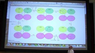 28 Biochemistry Citric Acid Cycle Lecture for Kevin Aherns BB 451551 [upl. by Amling]