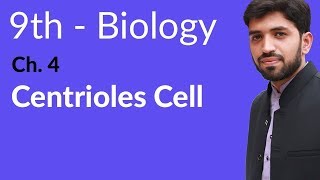 9th Class Biology  Chapter 4  Centrioles Cell [upl. by Ibbed]