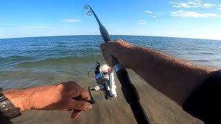 BLUEFISH Everywhere  BEACH FISHING for BLUES  Top SALTWATER Action [upl. by Arihaj108]