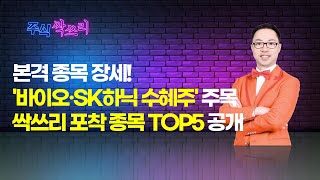 공명 정지우의 주식싹쓰리 본격 종목 장세 바이오·SK하닉 수혜주 주목싹쓰리 포착 종목 TOP5 공개  머니투데이방송 증시 증권 [upl. by Anivlac]