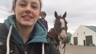 Spruce Meadows Vlog [upl. by Rance]