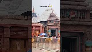 Jay jaganath♥️to bada panku dhik songshorts odisha jagannathtemple youtube shortsvideo short [upl. by Pickford731]