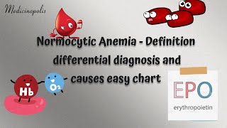 Normocytic Anemia  Pathophysiology  normocytic anemia symptoms  normocytic anemia treatment [upl. by Laven353]