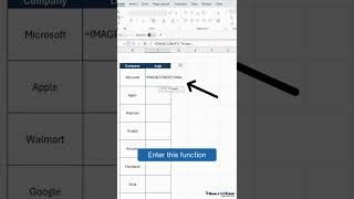 Inserting Company Logos Using the IMAGE Function in Excel [upl. by Lennaj]