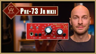 GAP 73Jr MKII  Affordable 1073 Preamp  Test amp Review [upl. by Damian899]