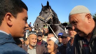 НАМАНГАН ШОХИДОН ОТ БОЗОРИ01102024 otbozor horse kopkari otlar [upl. by Nnylorac]