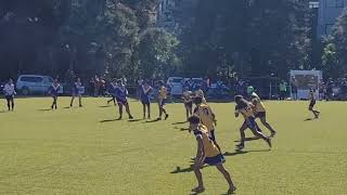 Pool B vs Roosters  Saturday July 13th  2024 U14 Mt Albert Lions 🦁 [upl. by Sotsirhc]