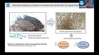 Genome editing to produce monosex and sterile fish for aquaculture [upl. by Jorry]