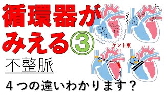 【不整脈】不整脈の種類、病態、治療薬 整理したい方はコチラ 医療系学生必見 [upl. by Ausoj105]