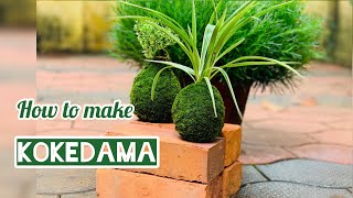 kokedama plants kokedama tutorial how to make kokedama [upl. by Elianora]