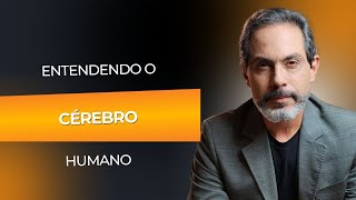 Entendendo o cérebro humano  Córtex Pré Frontal  Dr Frederico Porto [upl. by Airamahs]