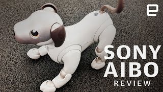 Sony Aibo Review New dog new tricks [upl. by Claudell406]