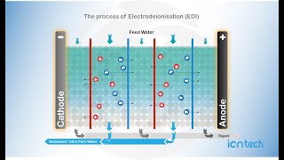 The process of Electro Deionisation EDI Iontech Animated [upl. by Myrtia]