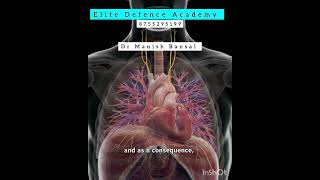 quotRole of the Diaphragm in Breathing and Its Influence on Heart Ratequot [upl. by Koblas]