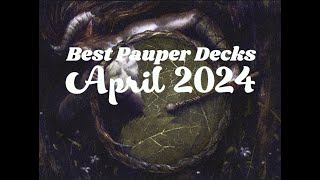 best pauper decks april 2024 [upl. by Hendrickson]