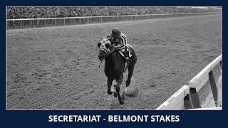 Secretariat  Belmont Stakes 1973 [upl. by Aleehs75]