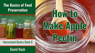 How to Make Homemade Apple Pectin  How to Extract Pectin from Apples  Make Your Own Pectin [upl. by Kalikow]