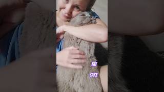 🥰♥️💋😺 FAT CAKE [upl. by Thamora]