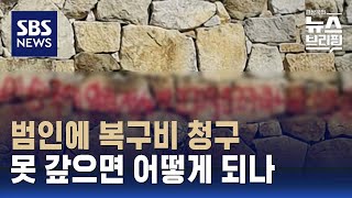 범인에게 문화재 복구 비용 청구…못 내면 형량 높아질 가능성  SBS  편상욱의 뉴스브리핑 [upl. by Worra]