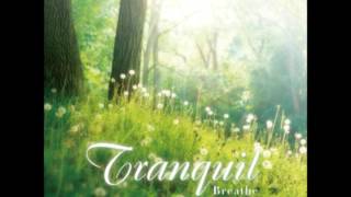 Tranquil  心靈森呼吸  Thank you for coming into my life [upl. by Ludovick]