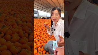 Amazing Persimmon Fruit 🍑🍑  Delicious Fram Fresh Fruits shorts fruit youtubeshorts [upl. by Darees316]