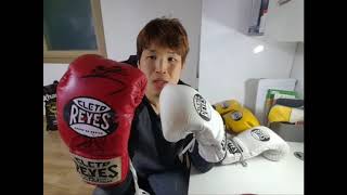 레예스 훅amp룹 트레이닝용글러브 리뷰 Cleto Reyes Hook and Loop Boxing Gloves [upl. by Willing]