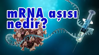 mRNA aşıları nedir [upl. by Lydnek]